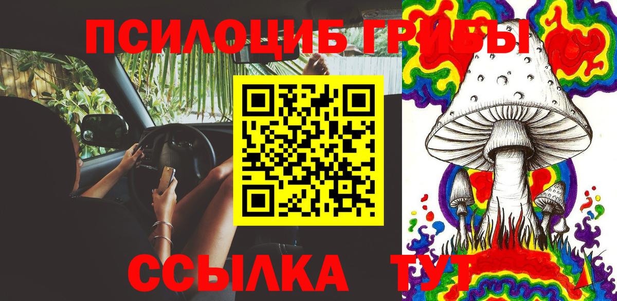 Псилоцибиновые грибы ЛСД Славянск-на-Кубани