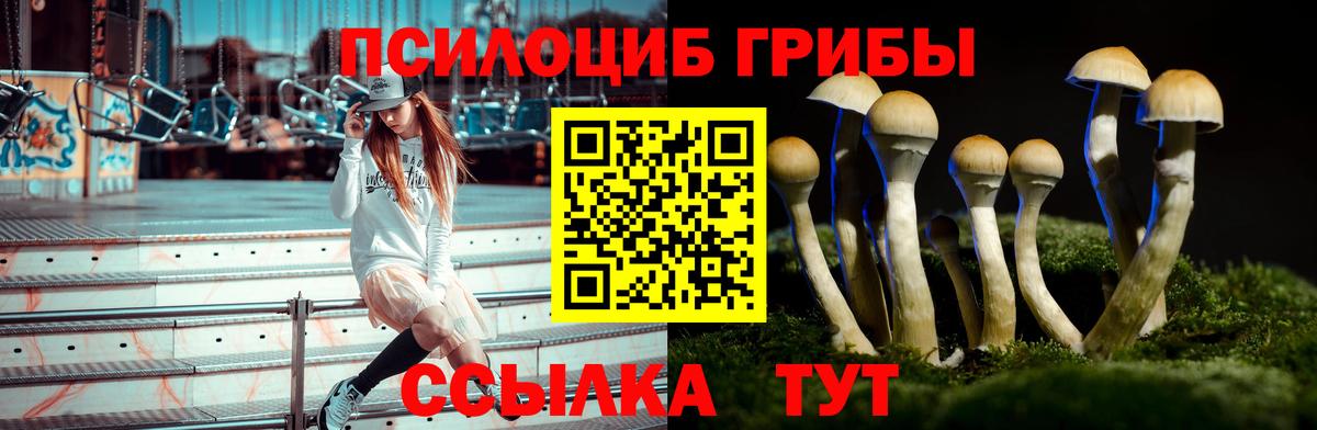 Славянск-на-Кубани  Псилоцибиновые грибы MAGIC MUSHROOMS  Вход с VPN 
